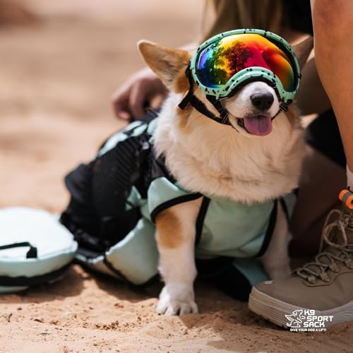 K9 Sport Sack | Adjustable Dog Carrier Backpack (Medium, Plus 2 - Jet Black)