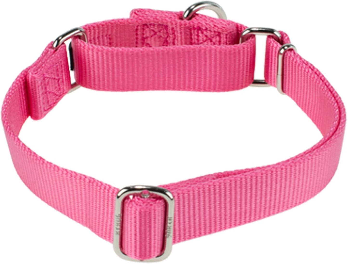 Hyhug Improved Design Nylon Webbing, Cold Water Washing Does Not Fade, Not Polluting Dog Hair, Wear Resistant and Not Prone to Fuzzing. No Slip Training Martingale Collar (Candy Pink, Medium)