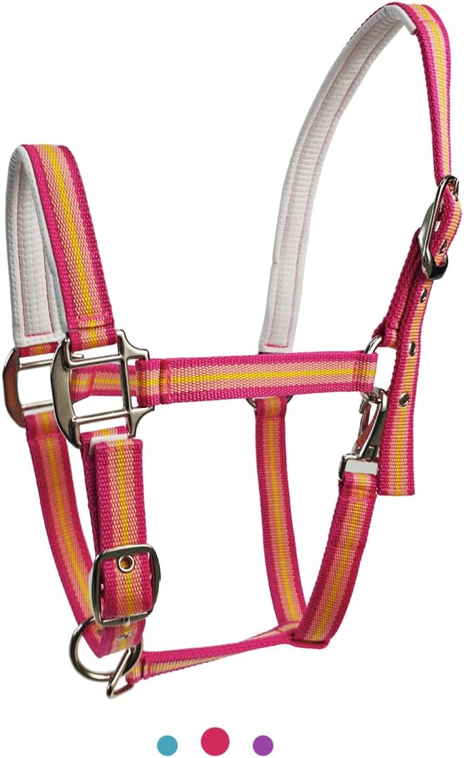 JWODVNTH Adjustable Horse Halter with PP Webbing, Durable Horse Halters with Zinc Alloy Hardware, Horses Training Equipment to Prevent Friction for Training, Competitions & Daily
