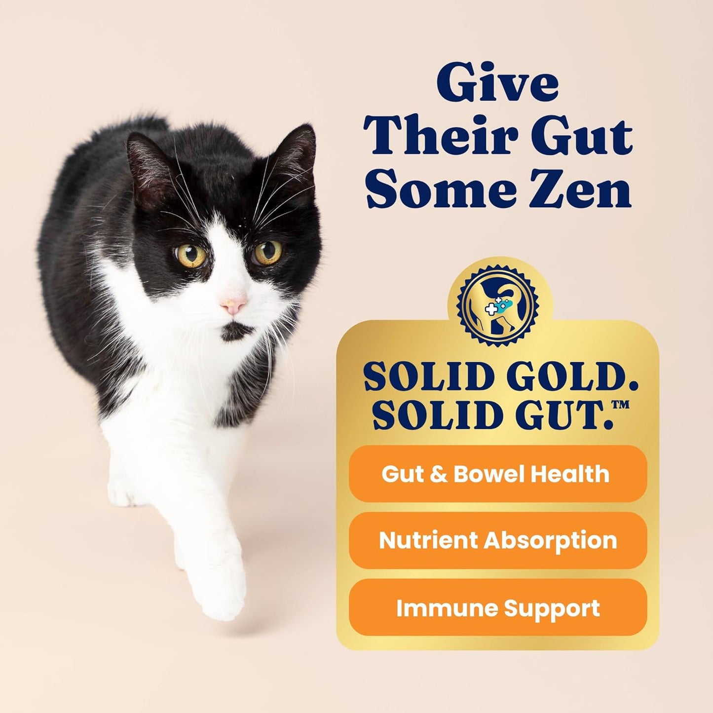 Solid Gold Indoor Dry Cat Food - Grain Free & Gluten Free - Salmon Cat Food Dry Kibble for Indoor Cats w/Probiotics & Fiber for Gut Health - Sensitive Stomach & Hairball Support for Adult Cats - 12LB