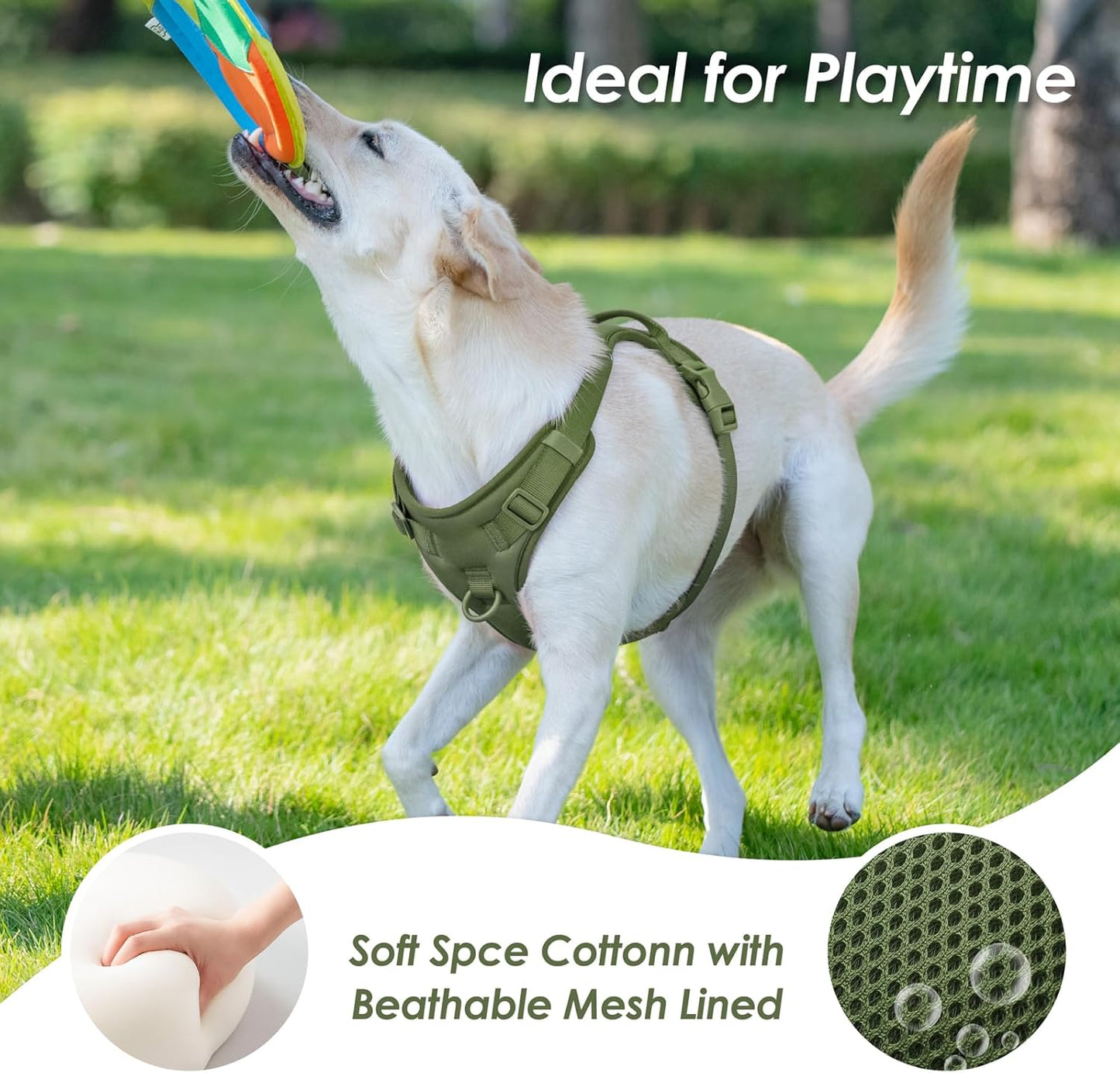 No Pull Dog Harness, Puppy Vest with Front Clip for Small Medium Large Sized Dog (Misty Green,M)