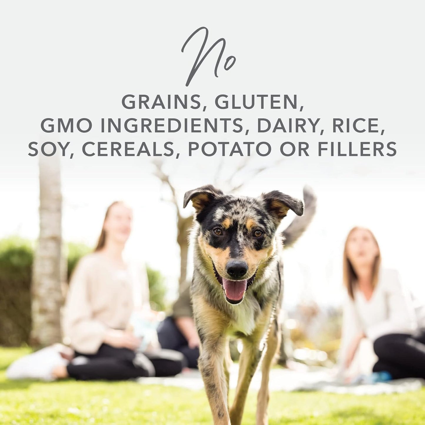 K9 Natural - Grain Free Freeze Dried Dog Food - Lamb, 4lb