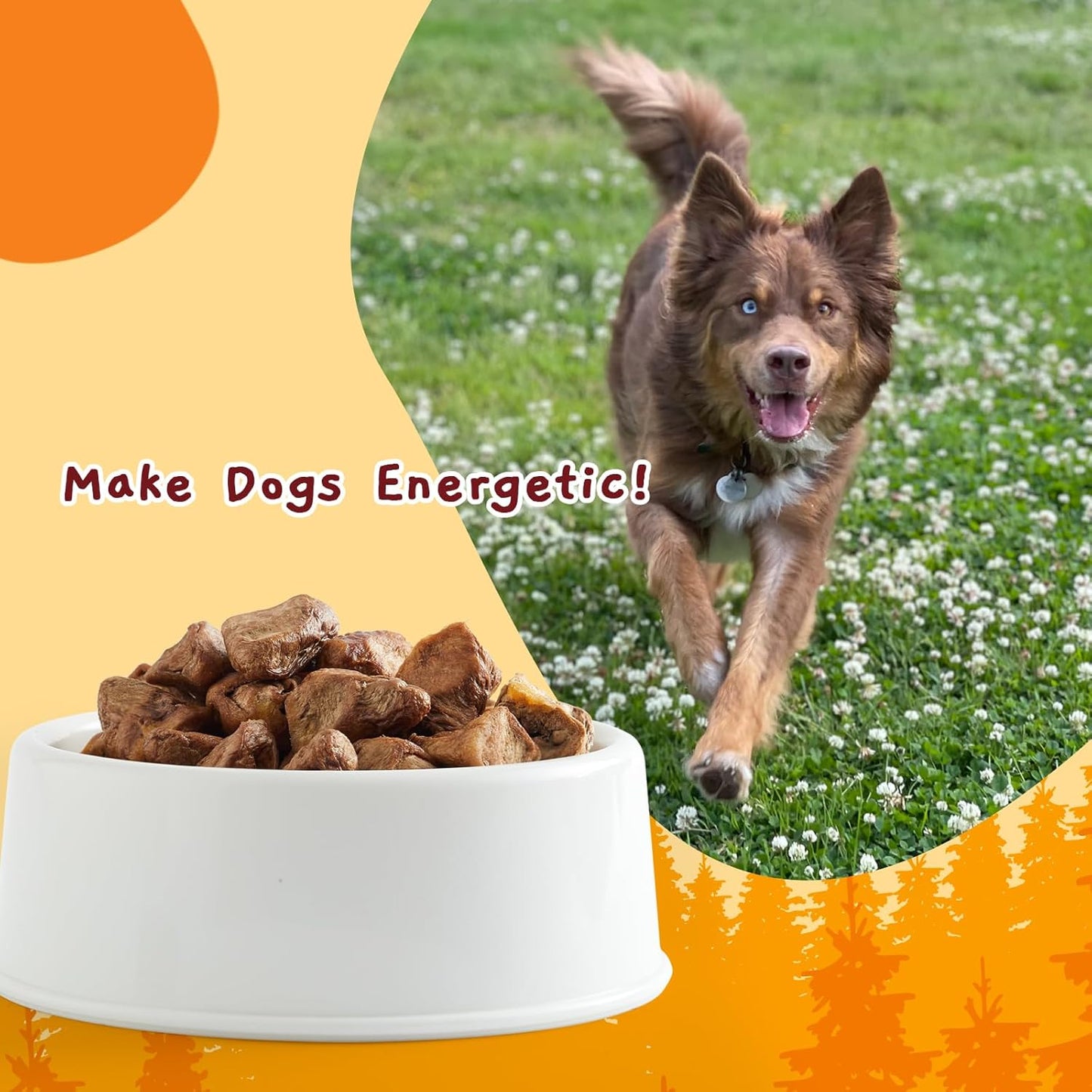 Jungle Calling Freeze Dried Cat & Dog Treats, Freeze Dried Chicken Hearts for Cats & Dogs, High Protein Single Ingredient Chicken Heart Treats, Grain Free Pet Training Treats (Chicken Hearts, 2.3 oz)