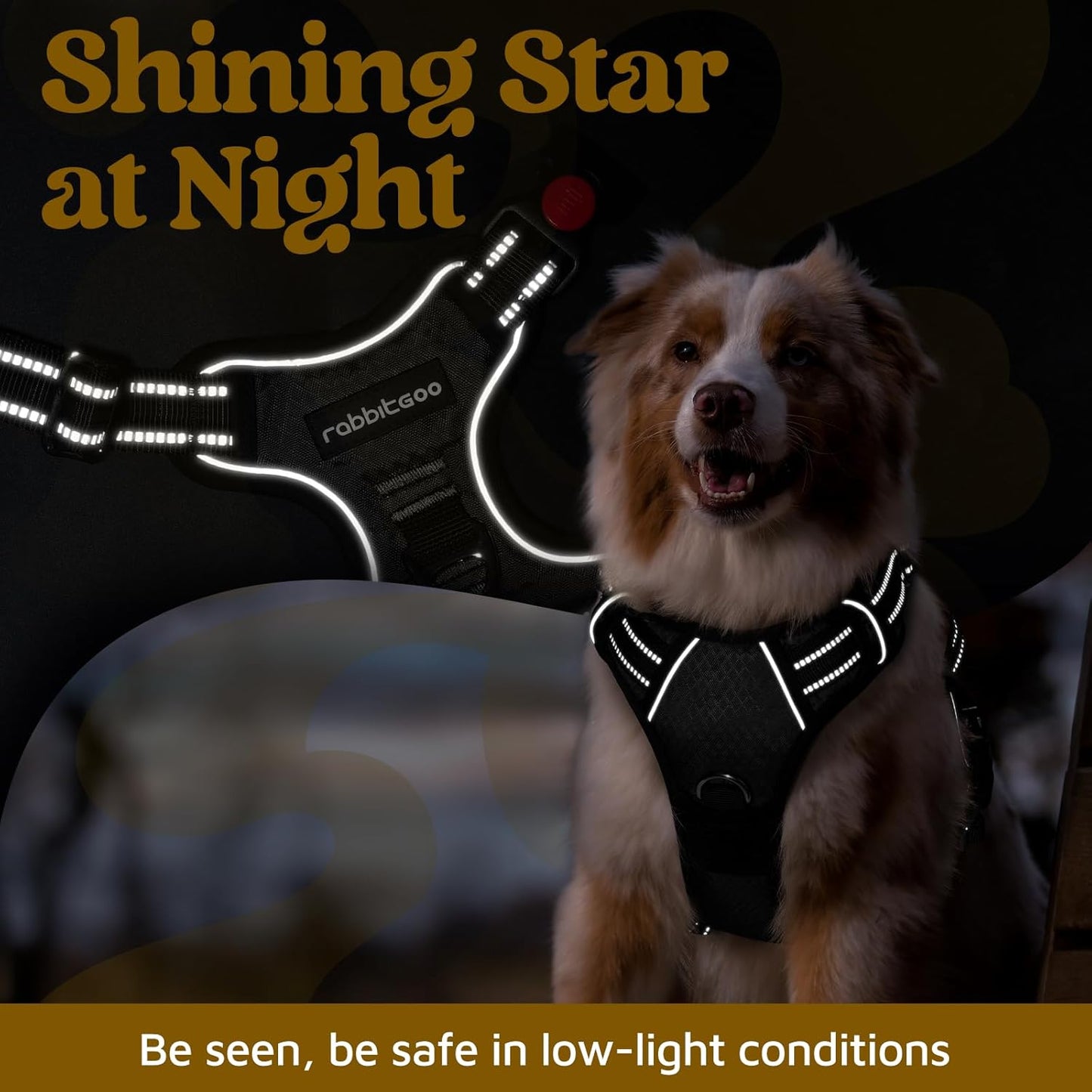 rabbitgoo Dog Harness Medium Sized, No Pull Dog Vest with 3 Buckles, Adjustable Soft Padded Pet Harness with Easy Control Handle and Reflective Strips, Black, M