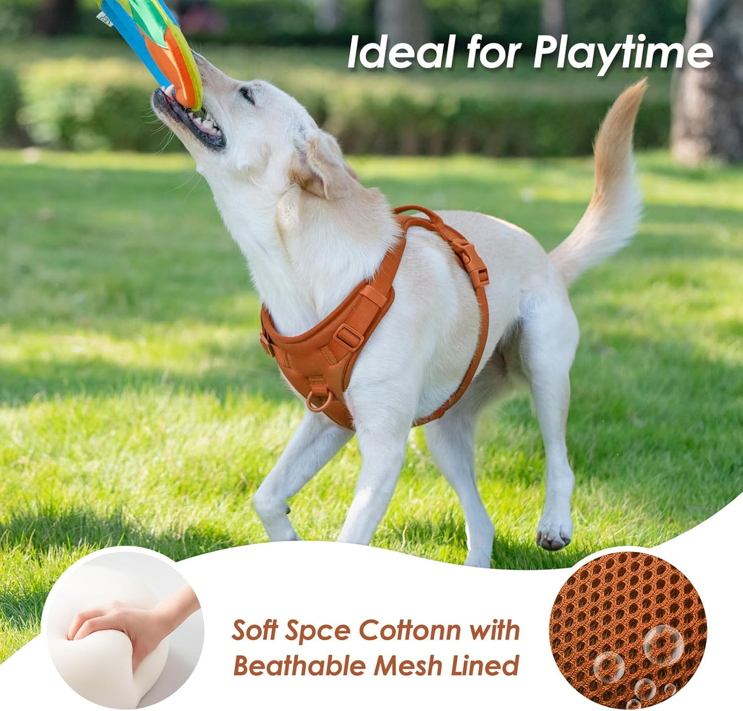 No Pull Dog Harness, Puppy Vest with Front Clip for Small Medium Large Sized Dog(Carmel Brown,XL)