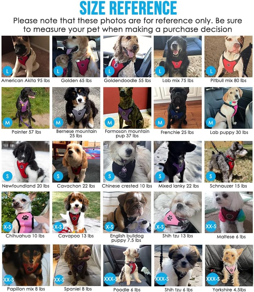 Lukovee Dog Seat Belt - Adjustable Dog Car Harness for Large, Medium & Small Dogs, Soft Padded & Breathable Mesh Dog Seatbelt with Vehicle Connector Strap (Green, Medium)