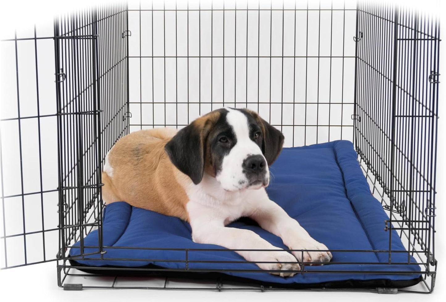 K9 Ballistics Tough Ripstop Dog Crate Pad - Durable & Machine Washable with Non-Skid Bottom and 120-Day Warranty, Fits 30" Wire Crates - Small, Blue Quartz