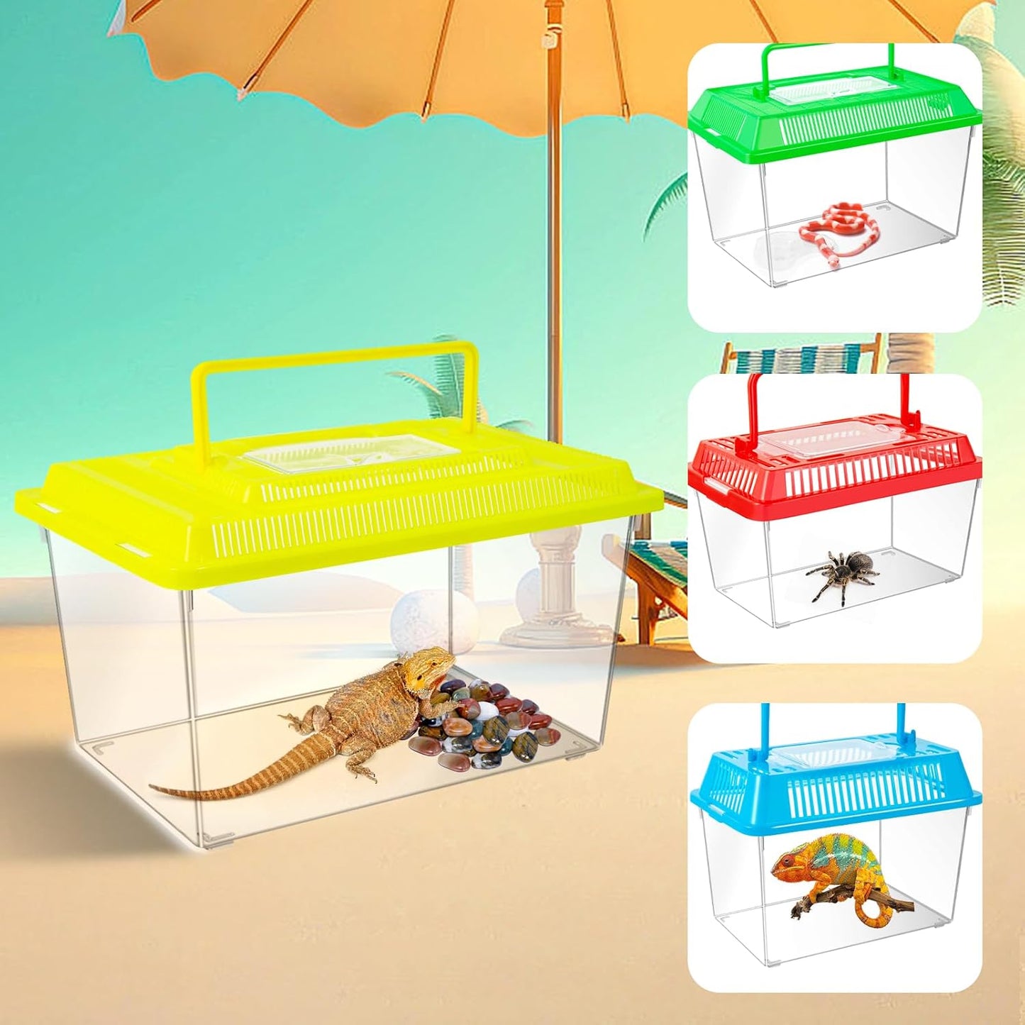 12Pcs Plastic Reptile Terrariums Carrier Cage, Tarantula Enclosure Snake Breeding Box Hatching Container Transparent Fish Tank Turtle Aquarium with Random Color Lid for Lizards, L(8.7" x 5.5" x 5.9")