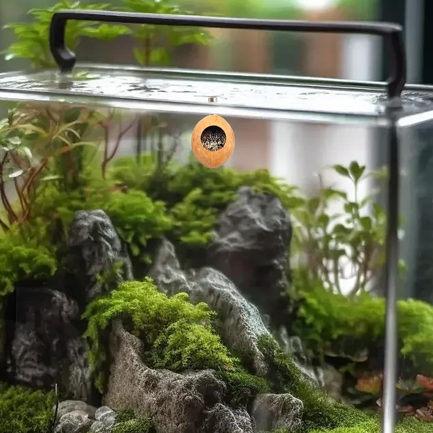 2 Pack Jumping Spider Enclosure Accessories with Walnut Shell Moss and Magnet, Natural Material Jumping Spider Hide