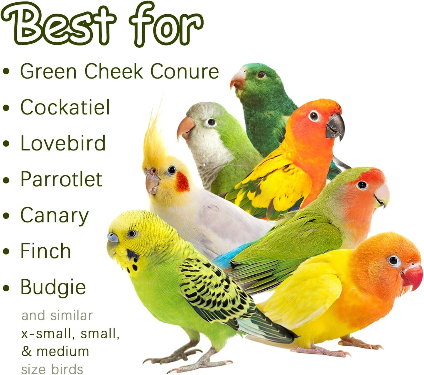 5-Pack Natural Flower Bird Toys – Foraging & Chewing Toys for Parakeets, Cockatiels, Conures & Small Birds – No Plastic, All-Natural Materials