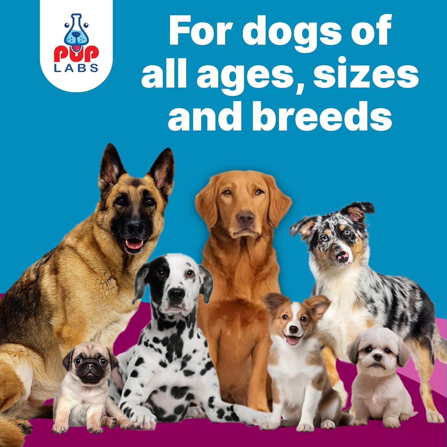 K9 Belly Bliss, All-Natural Gut Health for Dogs, Vet Approved Prebiotic for Dogs for Daily Digestive Support and Dog Constipation Relief, Easy to Use Topper for Dry and Wet Food, 30 Scoops.