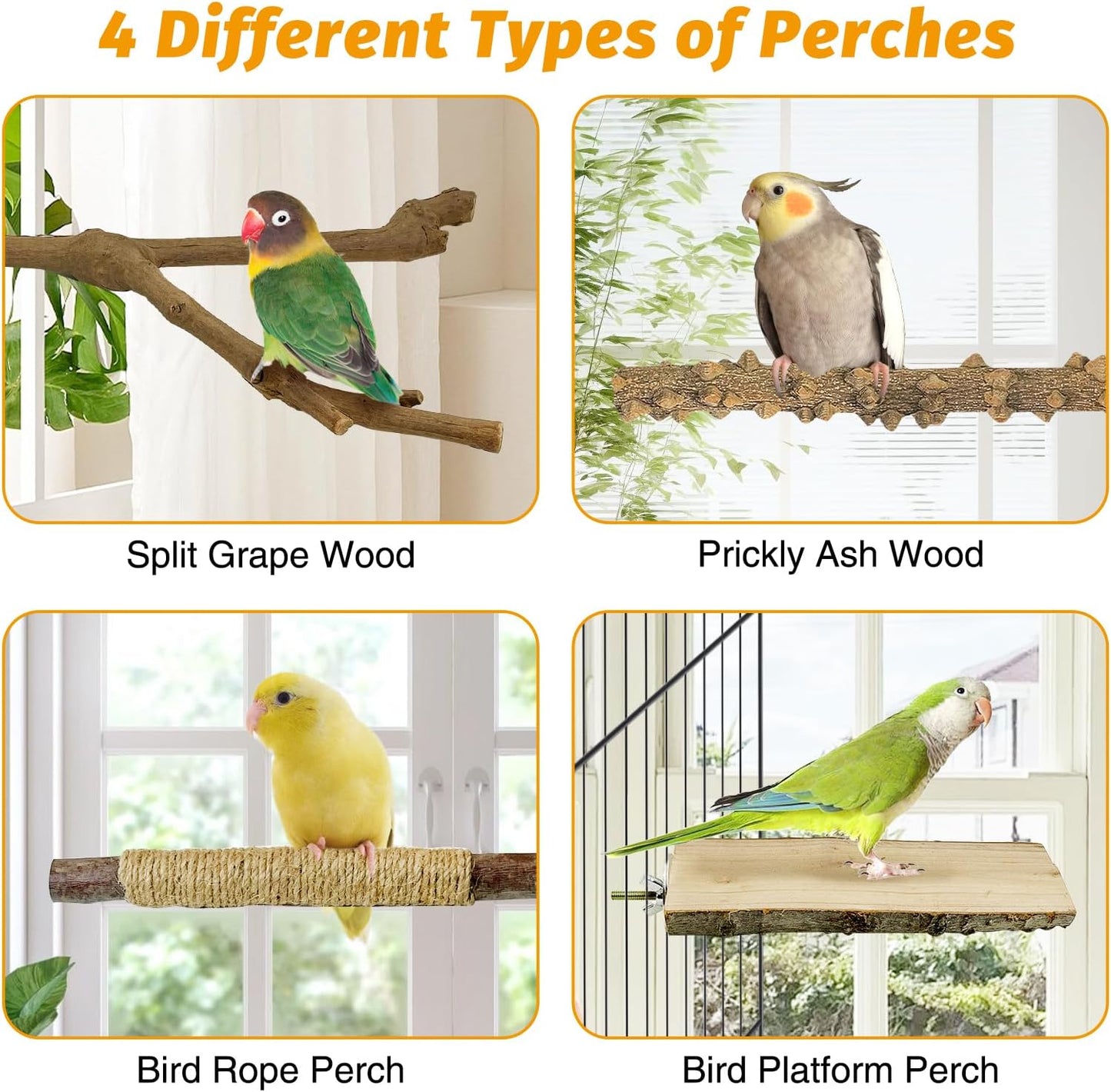 kathson 5pcs Natural Parrot Perch for Cage Wooden Bird Perches Grape Bird Stick Parakeet Climbing Standing Branches Toy Chewable Cage Accessories for Small Budgies Cockatiels