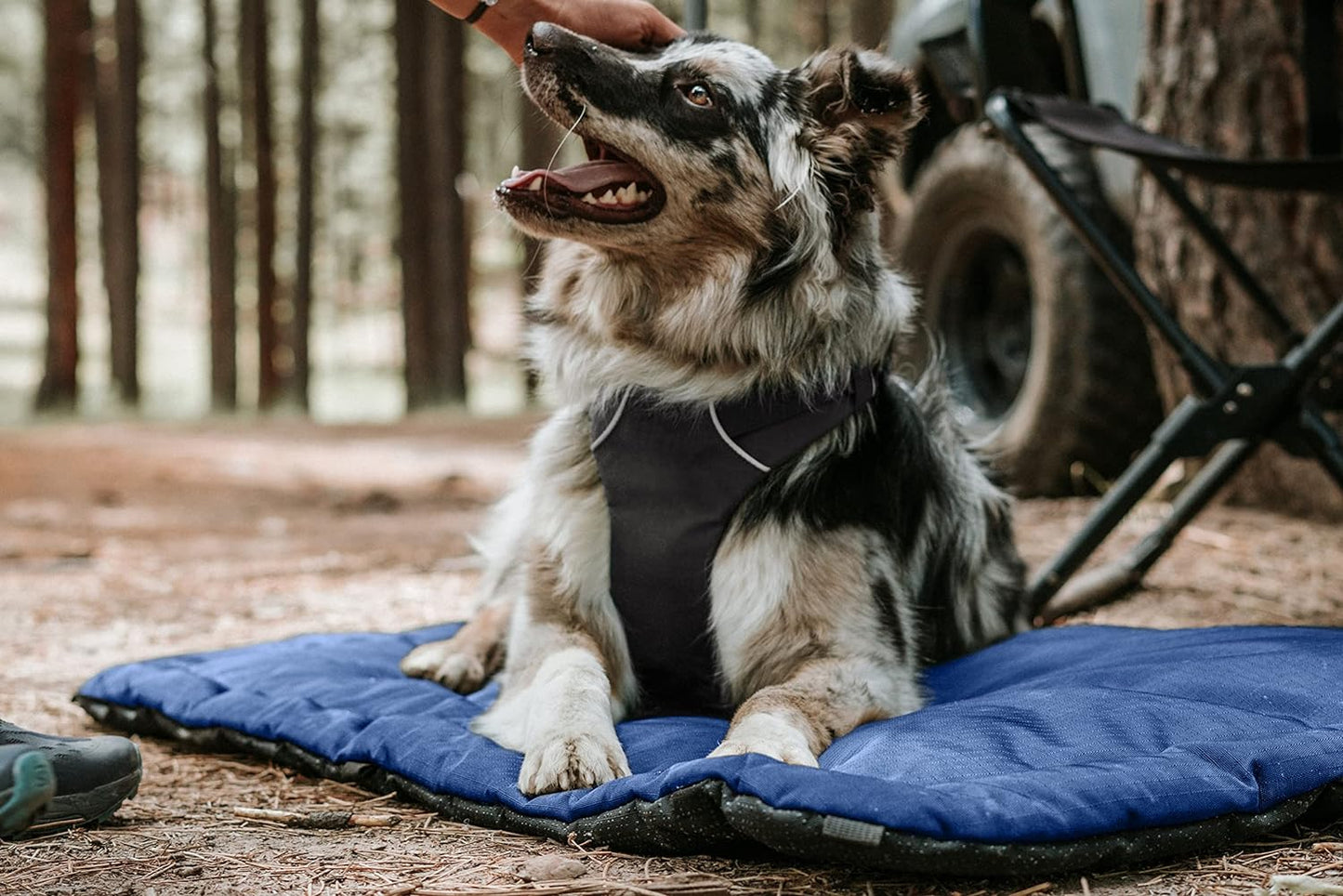 K9 Ballistics Tough Ripstop Dog Crate Pad - Durable & Machine Washable with Non-Skid Bottom and 120-Day Warranty, Fits 30" Wire Crates - Small, Obsidian Black