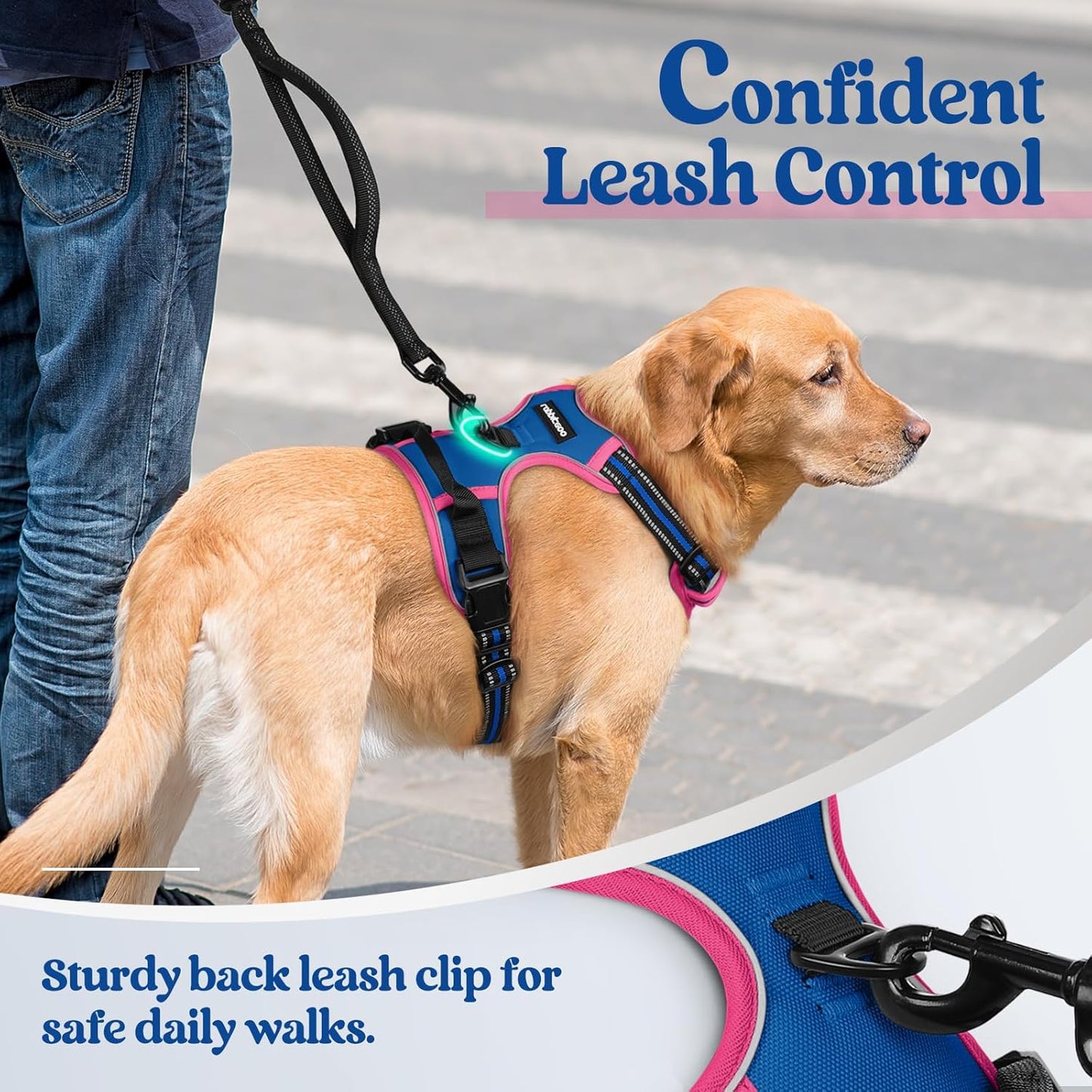 rabbitgoo Dog Harness No Pull with 2 Leash Clips, Adjustable Soft Padded, Reflective Oxford No Choke Pet Vest with Easy Control Handle for Large Dogs, Blue & Hot Pink, L