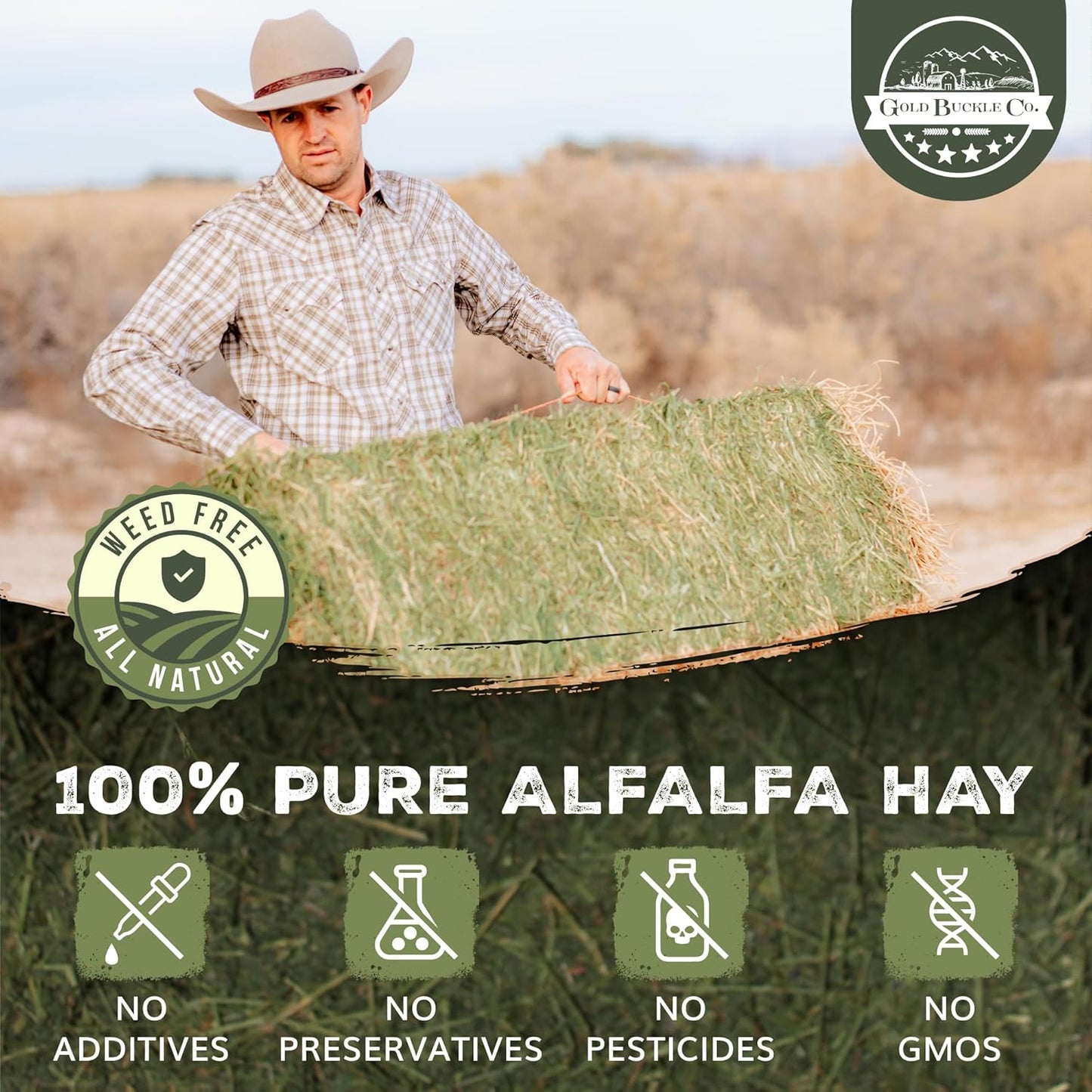 10lb Freshly Dried Organic Alfalfa Hay for Guinea Pigs, Rabbits, Chinchillas, Goats, Hamsters & Ferrets, Small Animal Food Rich in Protein & Fiber, Hand-Selected, Hand sorted, USA Grown