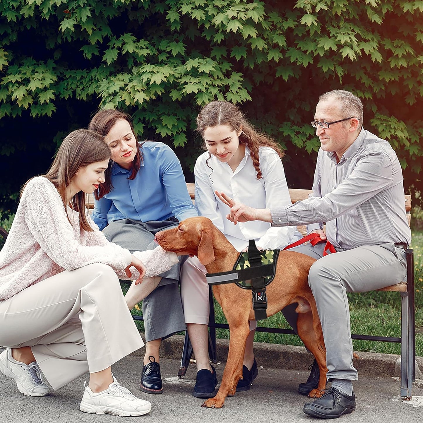 Dogline Dog Harness, Reflective No-Pull Adjustable Vest with Handle for Walking, Training, Breathable, No - Choke Harness for Small, Medium or Large Dogs Room for Patches Girth 15 to 18 in Green Camo