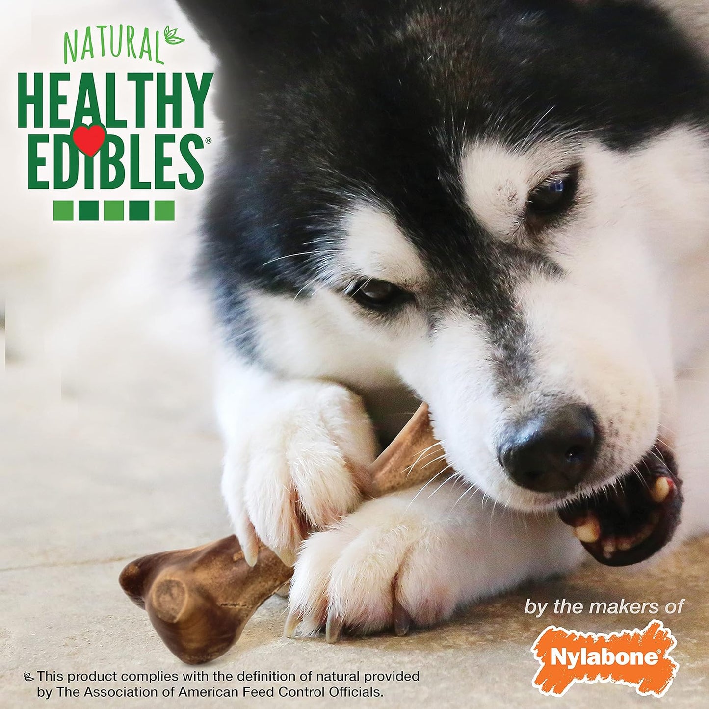 Nylabone Healthy Edibles WILD Natural Longer-Lasting Chew Treats, Venison Flavor, Large Dogs Up to 50 lbs - Made in USA (1 Count)