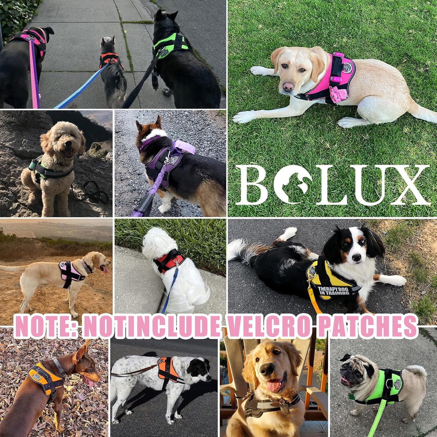 Bolux Dog Harness, No-Pull Reflective Dog Vest, Breathable Adjustable Pet Harness with Handle for Outdoor Walking - No More Pulling, Tugging or Choking (X-Small (Pack of 1), OilPainting)