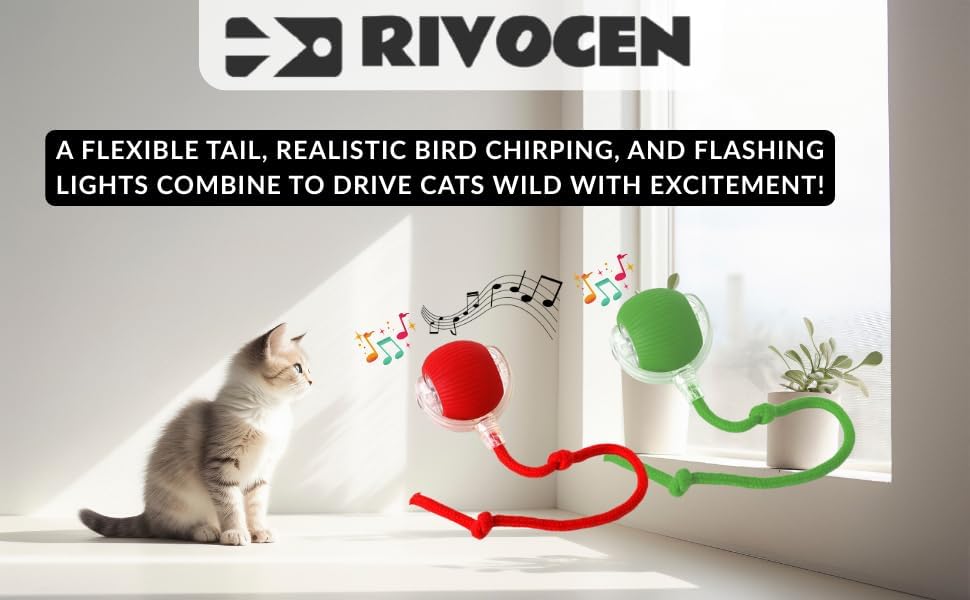 Indoor Cat Interactive Toy 360-degree Automatic Rolling Toy with Floor Flashing and Random Rolling for Cats and Dogs. Continuous Excitement, Fun and Stimulation for Your Cats and Dogs (Green)