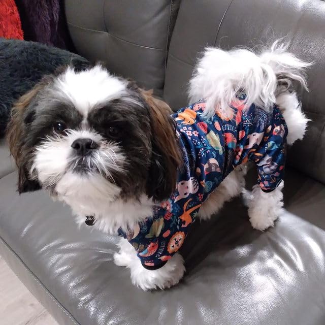 CuteBone Small Dogs Outfit Soft Puppy Onesies Pjs Dog Pajamas Pet Coat Cat Apparel Comfy Doggie Jumpsuit Bodysuit for All Seasons P75XS