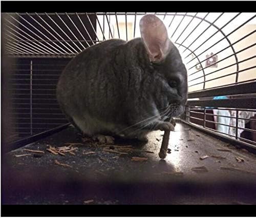 500g Apple Sticks Small Animals Molar Wood Toys for Rabbits Chinchillas Guinea Pig Hamster Gerbil Bunny and Small Animal Chew Stick Toys