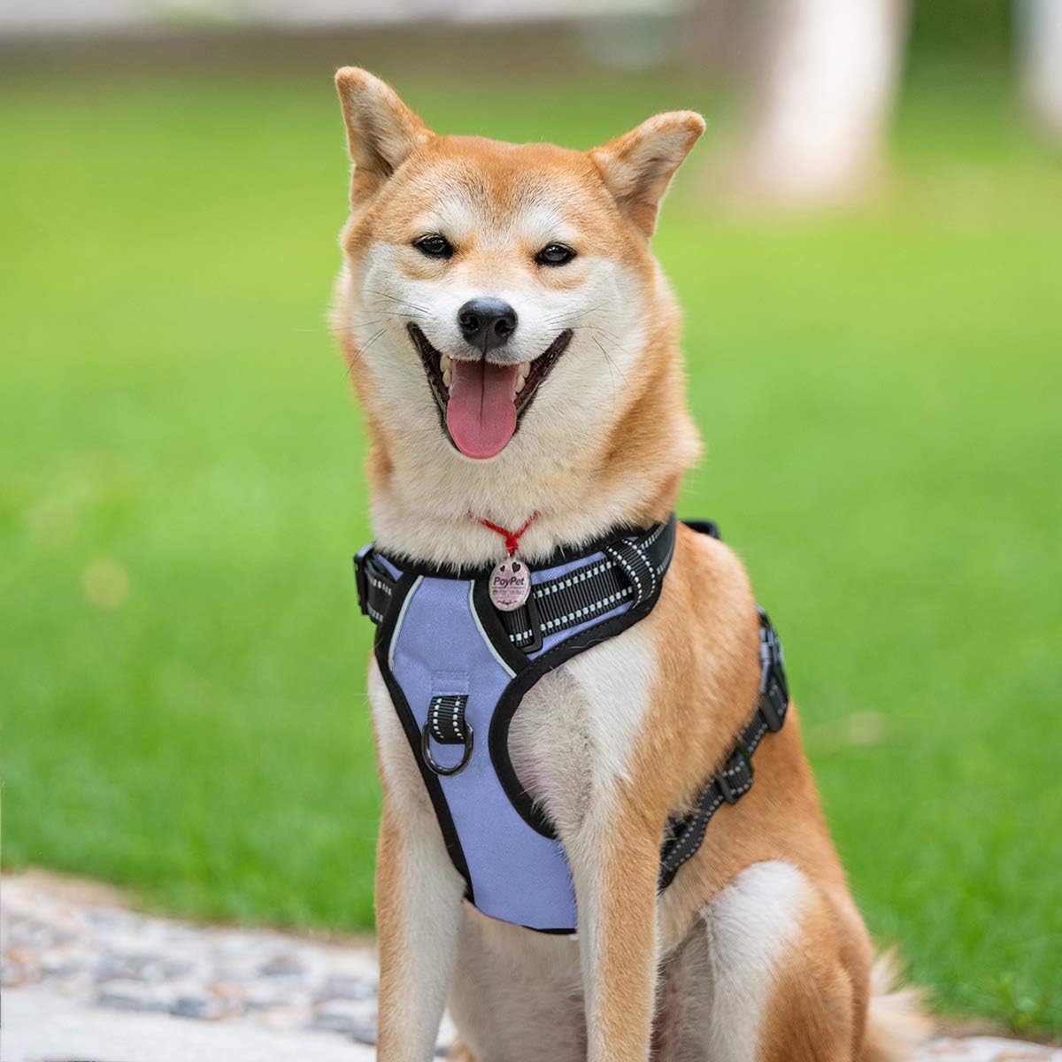 PoyPet No Pull Dog Harness, Reflective Comfortable Vest Harness with Front & Back 2 Leash Attachments and Easy Control Handle Adjustable Soft Padded Pet Vest for Small to Large Dogs (Light Blue,M)