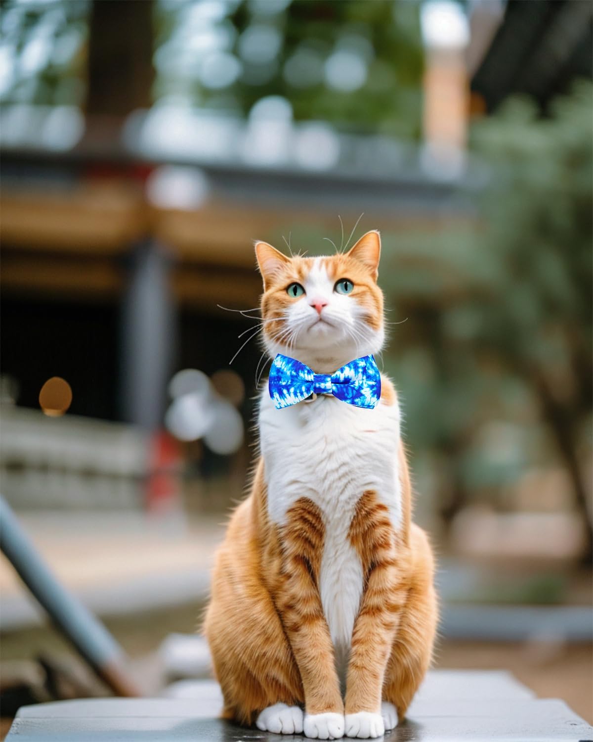 PET SHOW 10 Pack Tie Dye Small Dog Bow Ties Sliding Collar Attachments Puppy Cats Floral Bowties for Medium Dogs Gradient Colors Bowknots Party Holiday Pet Grooming Accessories(Small)