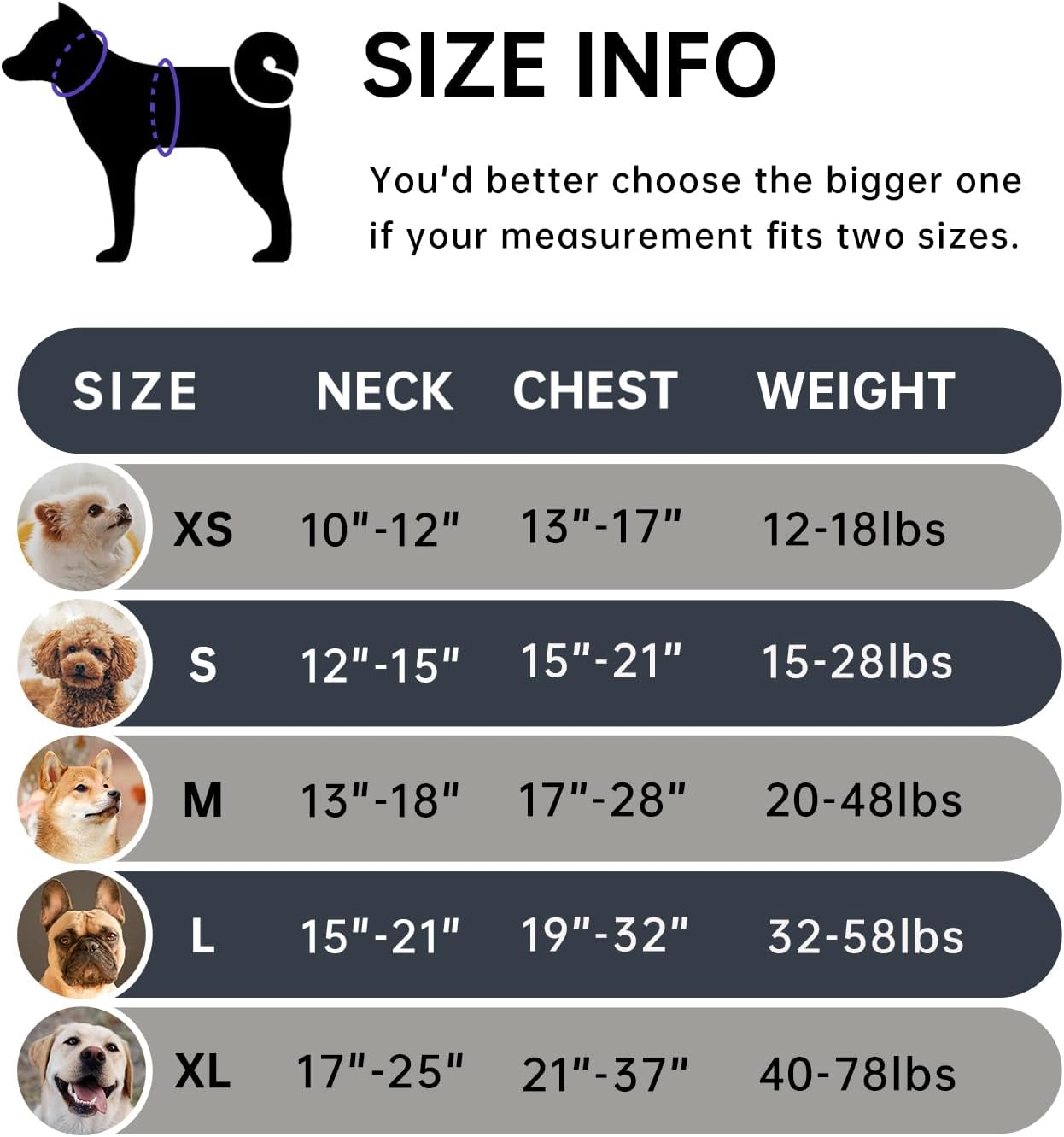 IVY&LANE No Pull Dog Harness with Leash Set, Reflective No Choke Pet Vest,Adjustable Oxford Dog Vest Harness with Easy Control Handle for Medium Dogs (Vintage Blue,M)