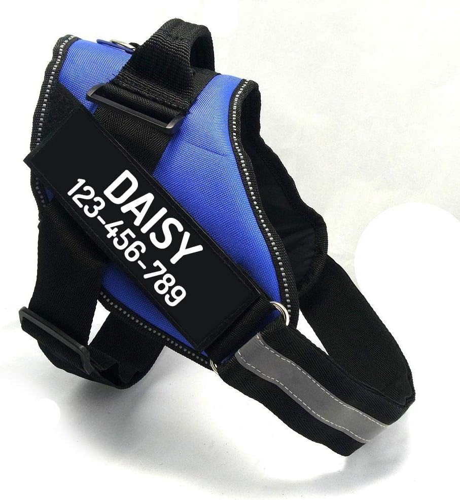 PawPawify Custom No Pull Dog Harness with Name and Phone Number, Heavy Duty Personalized Pet Vest to Prevent Tugging, Pulling, or Choking, Training and Walking (Blue, L (40-60 LBS))