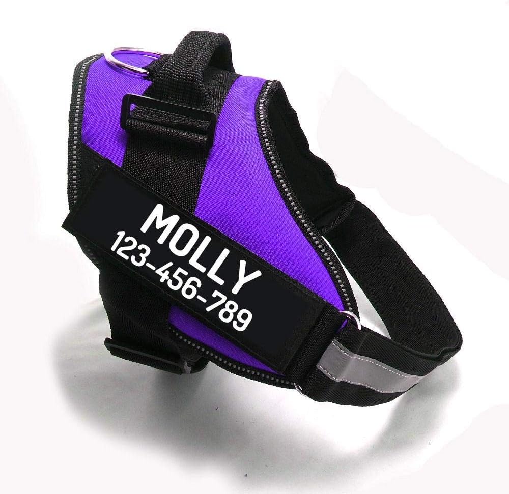PawPawify Custom No Pull Dog Harness with Name and Phone Number, Heavy Duty Personalized Pet Vest to Prevent Tugging, Pulling, or Choking, Training and Walking (Purple, XS (5-9LBS))