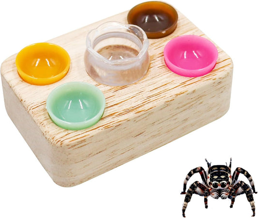 Jumping Spider Accessories, Plastic Feeding Bowl Set with Wooden Base for Food and Water, Mini Bowls, Jumping Spider Feeding Cups, Tarantula Enclosure Accessories