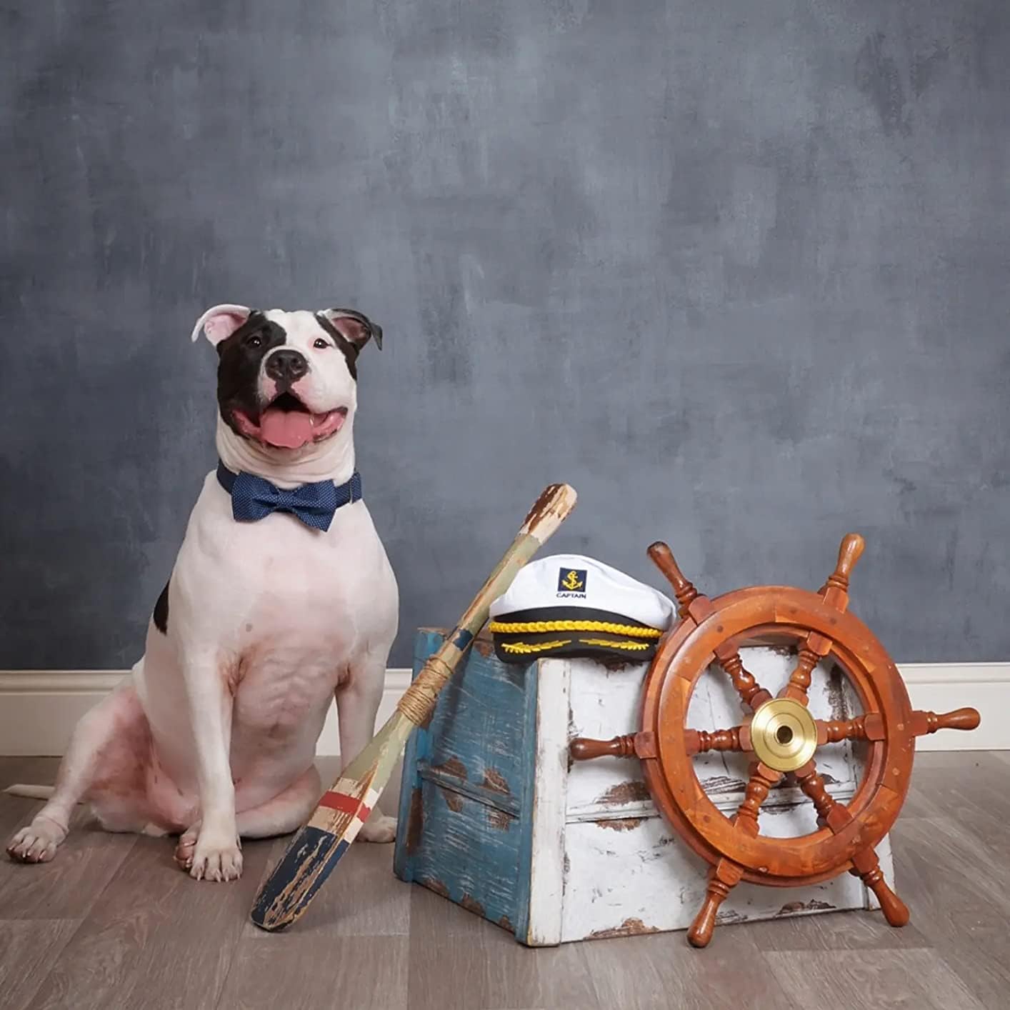 Lionet Paws Boy Dog Collar with Bowtie, Comfortable Adjustable Cute Navy Blue Bow Tie Collar for Male Puppies and Cats Gift, XS, Neck 8-12 inches