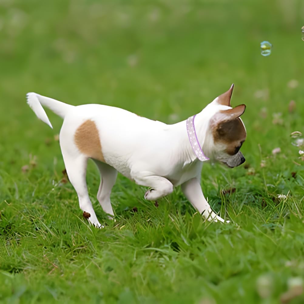 Rhinestone Dog Collar for Small Dogs, Bling Diamond Fancy Crystal Glitter Pretty Jewel Pet Puppy Collars for XXS XS Small Medium Large Breed Girl Dogs Female Cats Kitten, Black XL