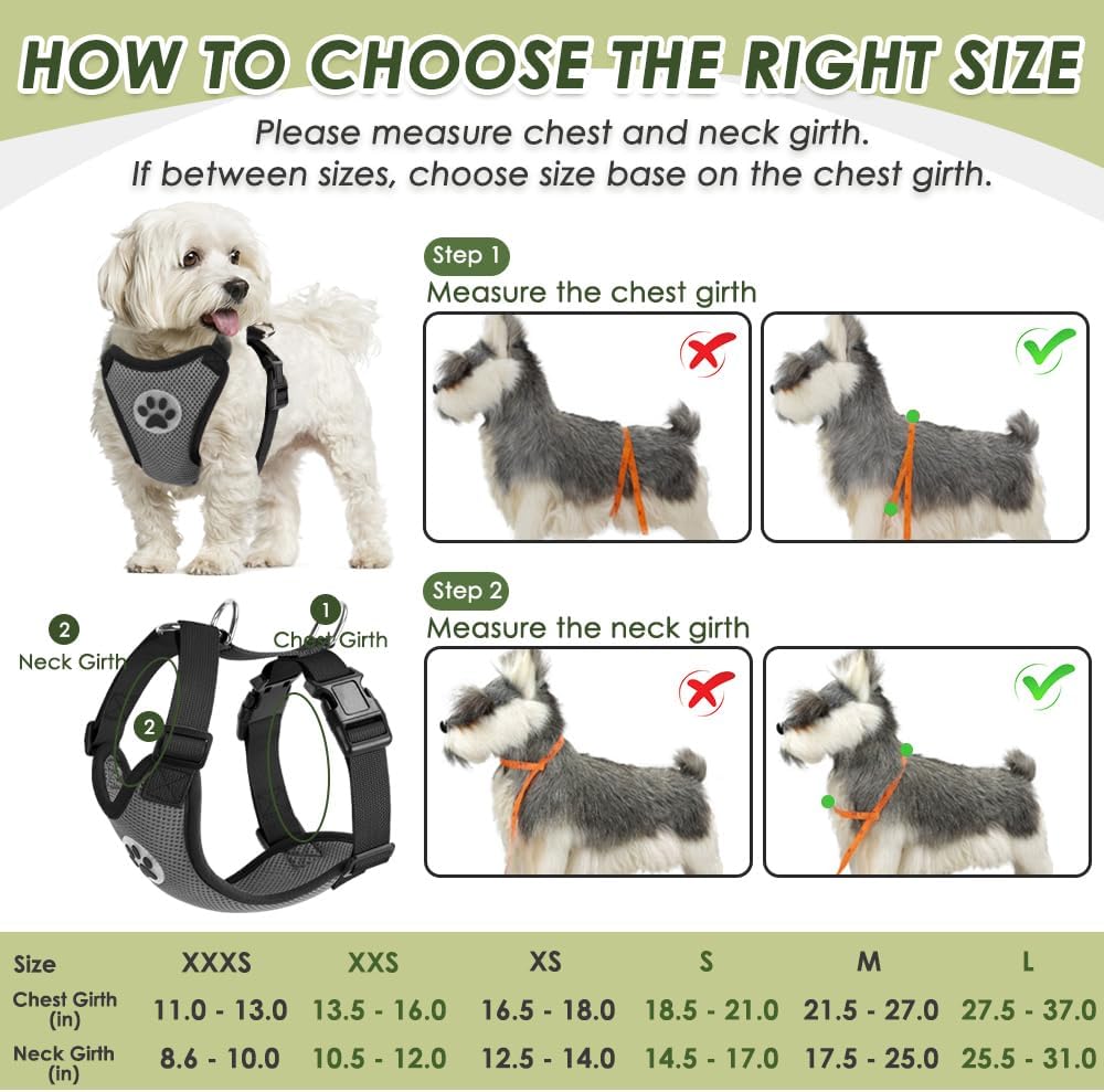 SlowTon Dog Seat Belt Harness for Car, Dog Car Harness Adjustable Mesh Breathable & Dog Seatbelt Safety Tether with Elastic Bungee for Small Medium Large Pets(Grey, Double Clip, S)