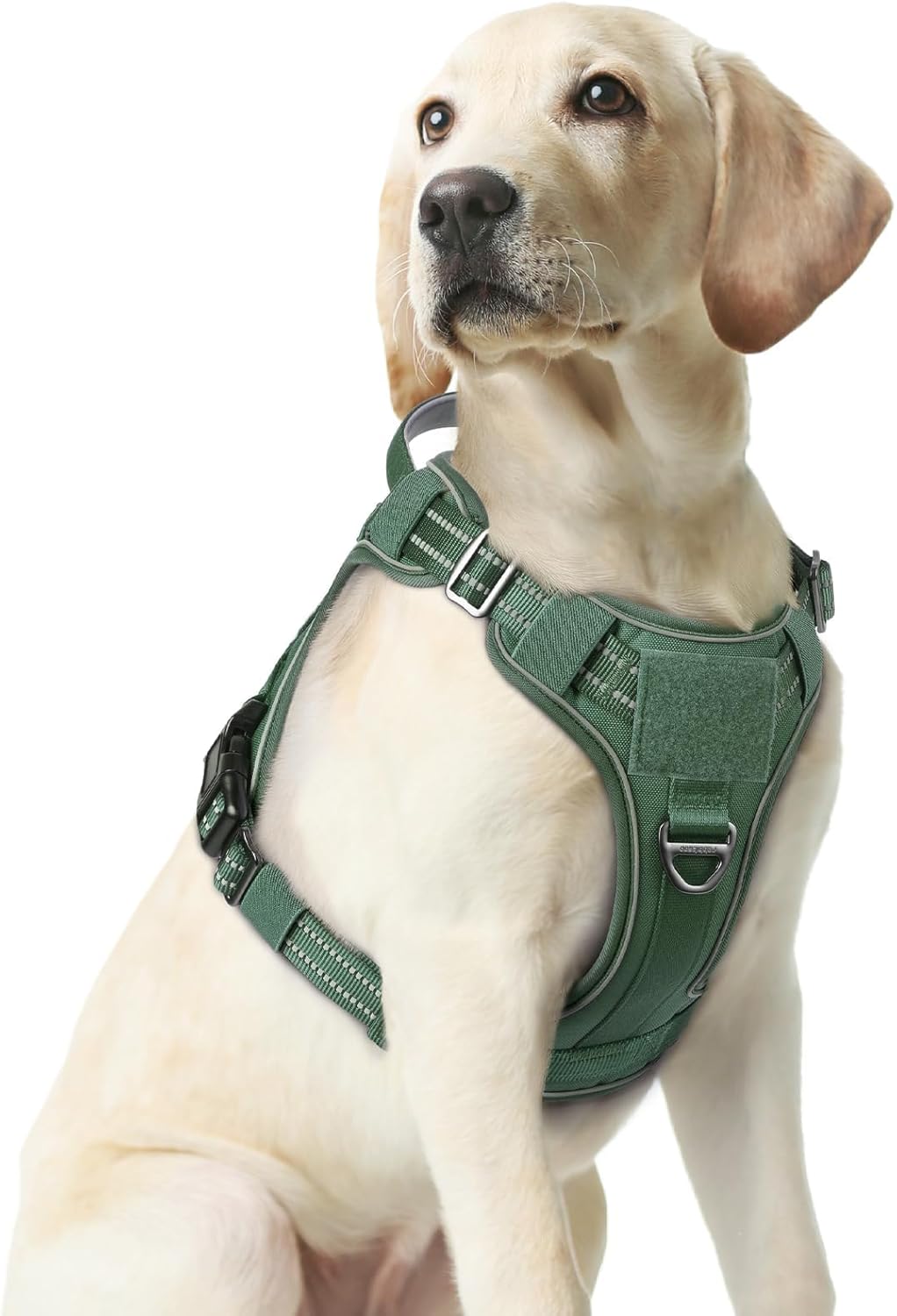 rabbitgoo Dog Harness Medium Sized No Pull, Tactical Service Pet Vest with Molle and Control Handle, Adjustable and Reflective Military Harness for Easy Walking and Training, Green, M
