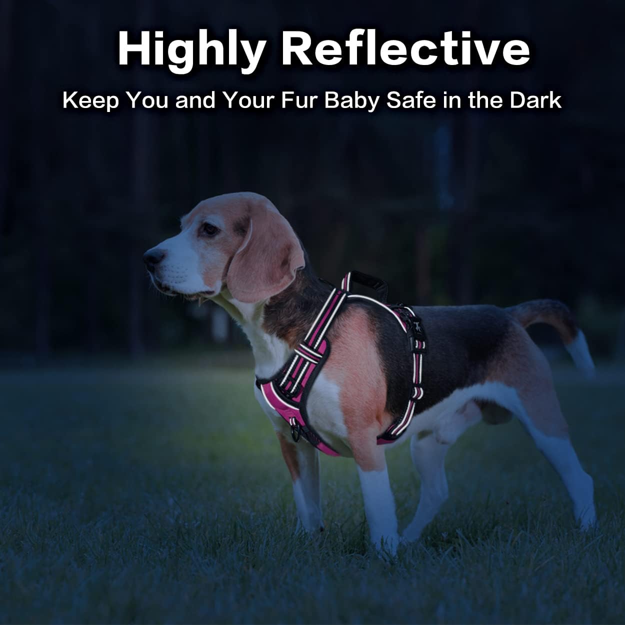 PoyPet No Pull Dog Harness, No Choke Front Clip Reflective Dog Vest with Soft Padded Vertical Handle, 3 Leash Attachments for Small Medium Large Dogs (Pink,S)