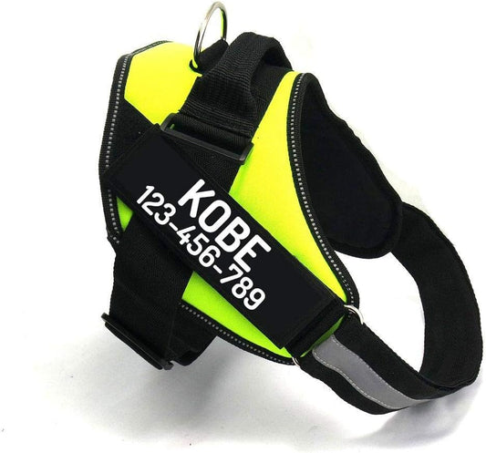 PawPawify Custom No Pull Dog Harness with Name and Phone Number, Heavy Duty Personalized Pet Vest to Prevent Tugging, Pulling, or Choking, Training and Walking (Green, XS (5-9LBS))