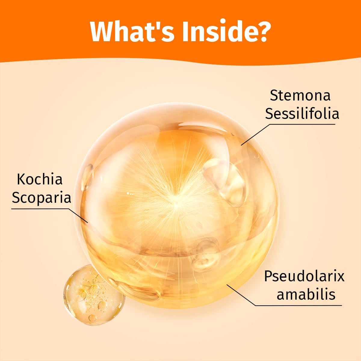 Hot Spot Spray for Dogs, Itch Relief Spray & Hot Spot Treatment for Dogs, Helps Alleviate Allergies Dry Itchy Skin, Wound Care Spray for All Animals, 2.02oz