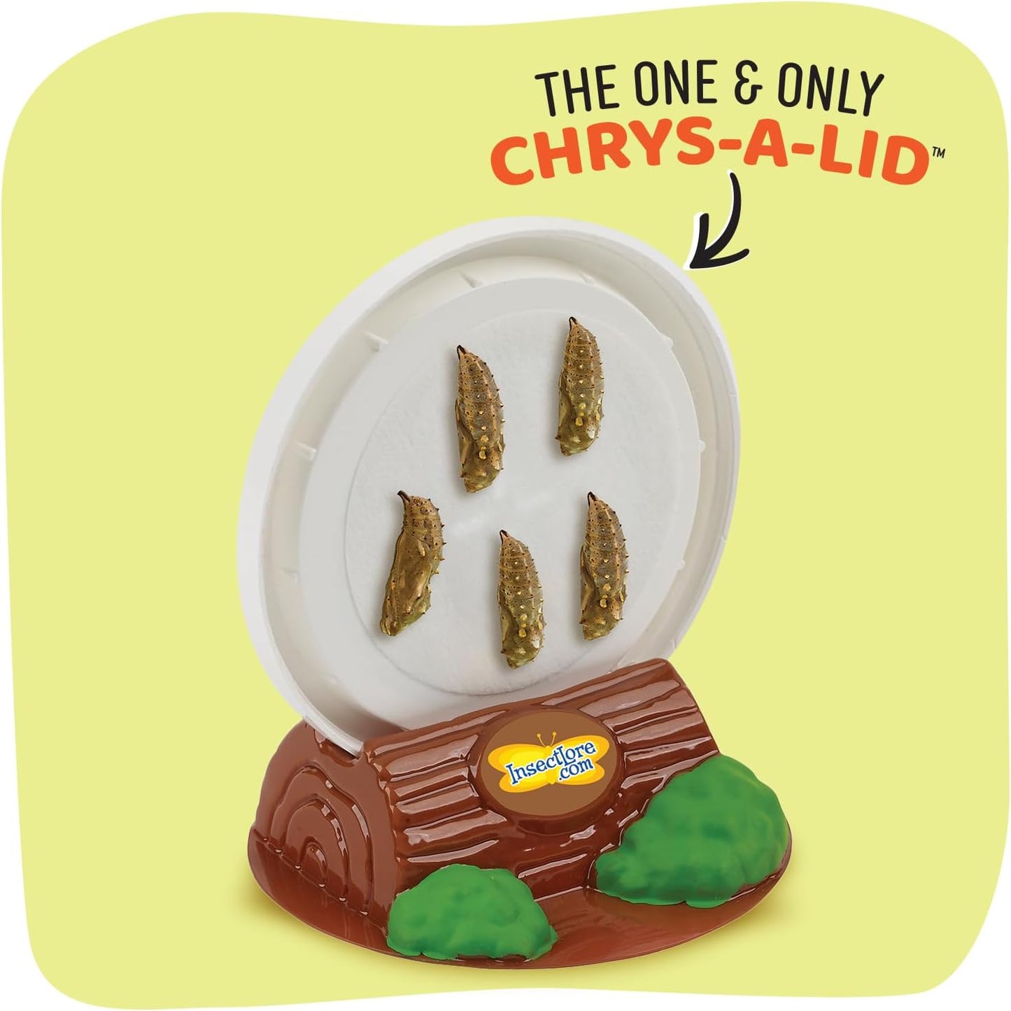 Insect Lore Butterfly Garden Kit with Live Caterpillars – Grow 10 Painted Lady Butterflies | STEM Learning Activity, Habitat with Journal, Stickers, Seeds & Figurines | As Seen on TV