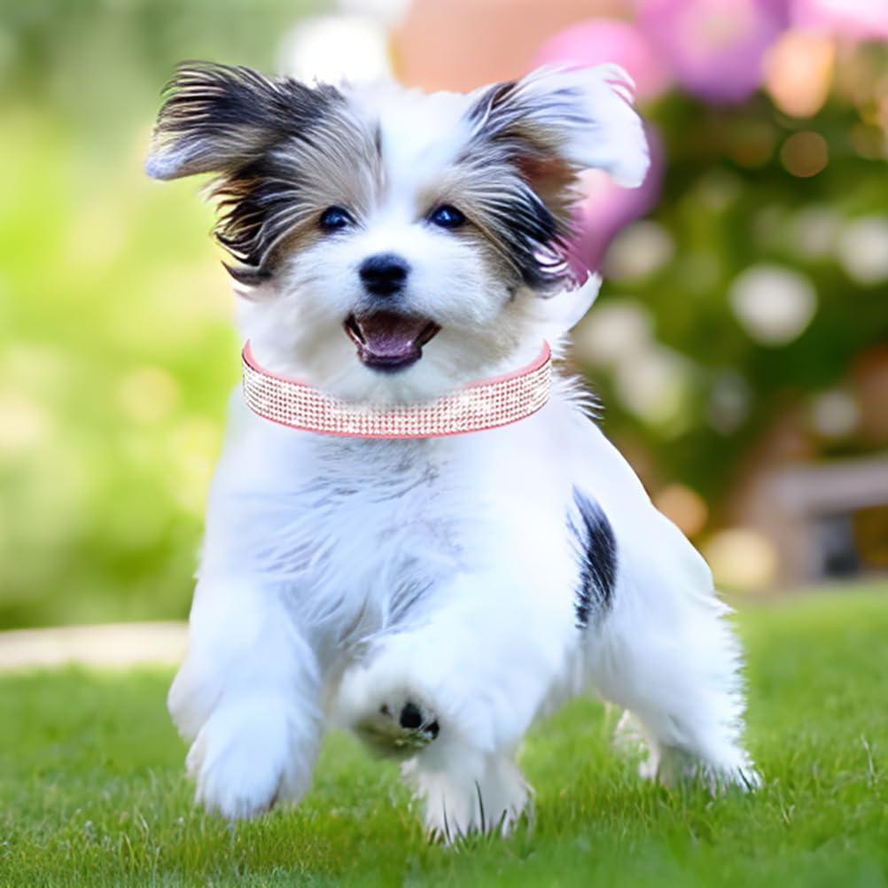 Rhinestone Dog Collar for Small Dogs, Bling Diamond Fancy Crystal Glitter Pretty Jewel Pet Puppy Collars for XXS XS Small Medium Large Breed Girl Dogs Female Cats Kitten, Red M