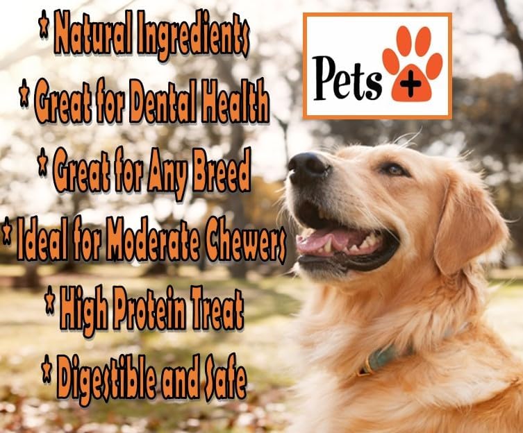 Pets Plus Premium Dog Treats – 5 Pack Thick Bully Sticks | All-Natural, Long-Lasting Dog Chews, High-Protein Healthy Treats for Small, Medium & Large Dogs