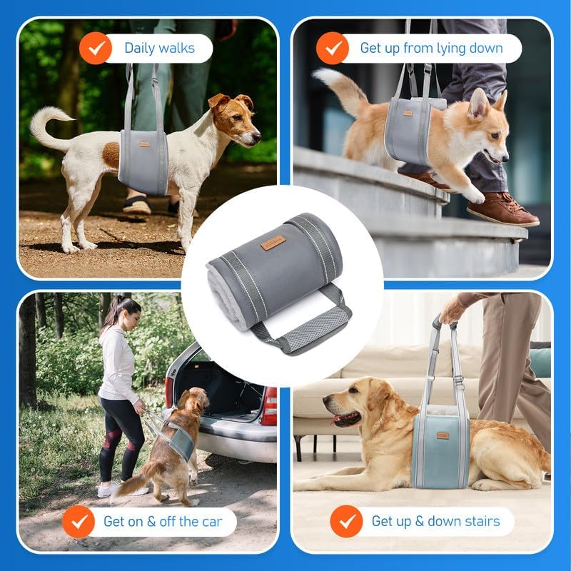 Dog Lift Harness for Extra Large Dogs, Adjustable Dog Sling for Back Legs, Hip Support Harness to Help Lift Dogs Rear for Canine Aid and Old K9 Cruciate Ligament Rehabilitation - Extra Large, Blue