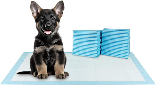 BV XXL Puppy Pads 20 Count 30" x 36" - Leak-Proof Pee Pads for Dogs with 6-Layer Design, Rapid Dry Sheet & Attractant - Dog Pad Extra Large with Odor Control - Perfect for Big Dogs & Indoor Use