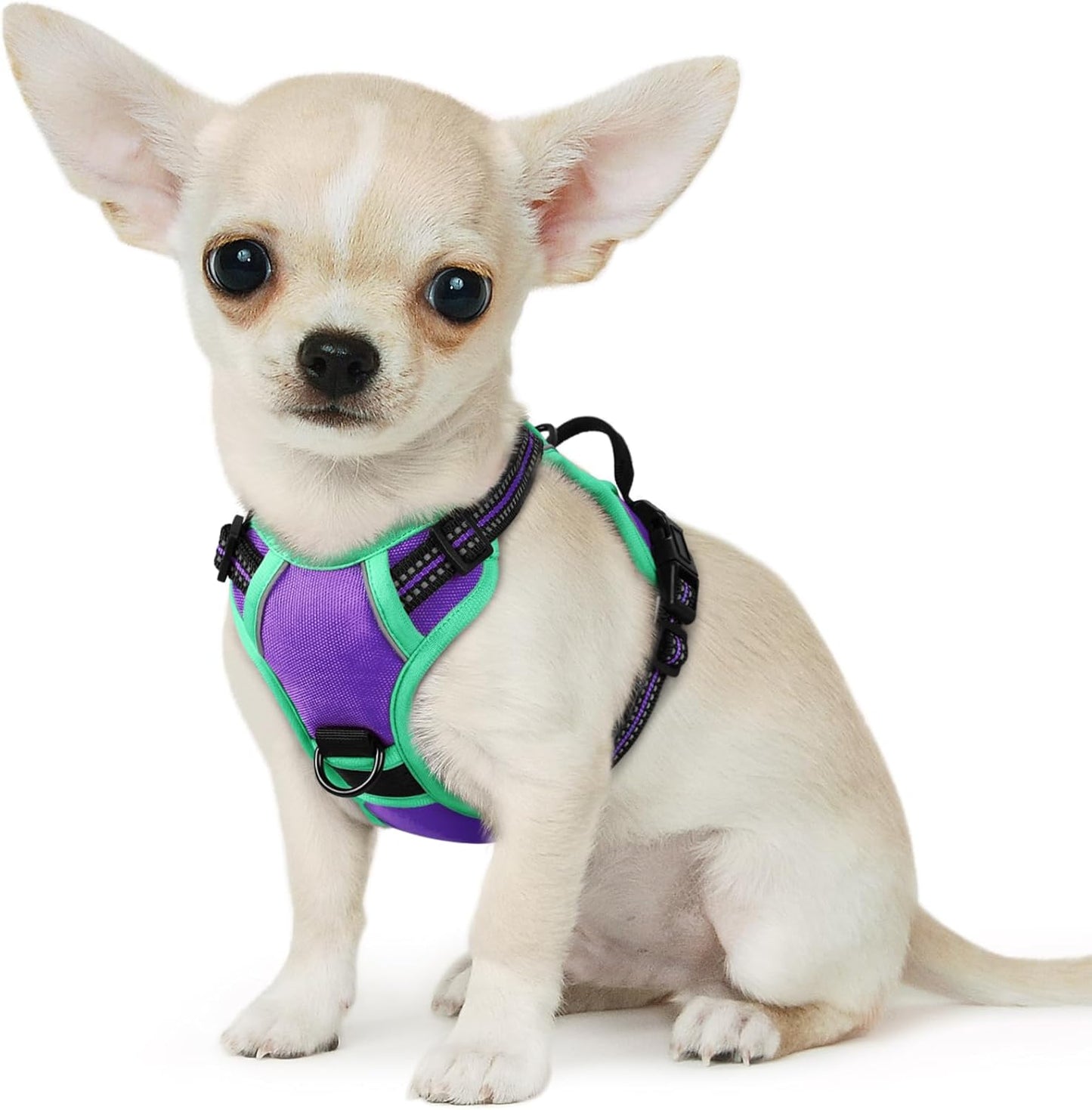Eagloo Small Dog Harness No Pull, Service Vest with Reflective Strips and Control Handle, Adjustable and Comfortable for Walking, No Choke Pet Harness with 2 Metal Rings, Purple & Green, XS