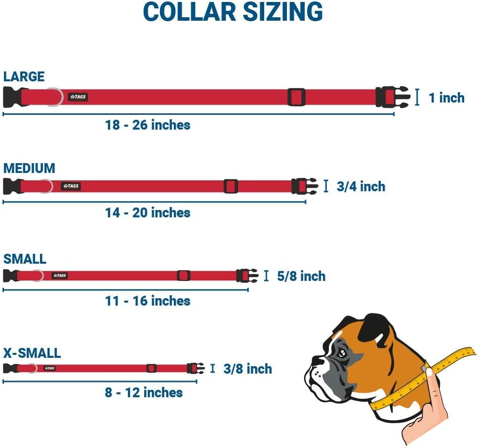 GoTags Personalized Dog Collar with Nameplate, Adjustable Dog Collar with Custom Engraved Slide On Pet ID Tag in Stainless Steel, Silent, No Noise Dog Tag for Large Medium and Small (Red, X-Small)