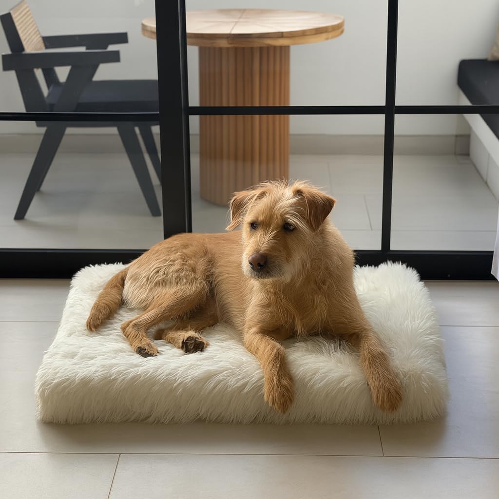 IHAPPYDOG Luxury Faux Fur Orthopedic Dog Beds, Memory Foam Crate Bed for Small, Medium, Large and XL Pets, Fluffy Pet Bed with Waterproof and Washable Cover, Fits Crates (White, 35" x 23")