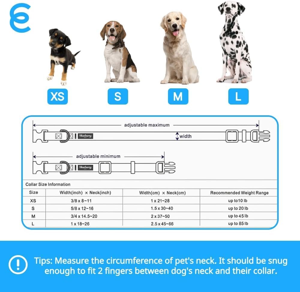 Blueberry Pet Essentials Medium Dog Collar in Flint Gray | Adjustable & Eco-Friendly Durable Nylon Strap | Classic Collar for Medium Dogs, Boy & Girl Pets