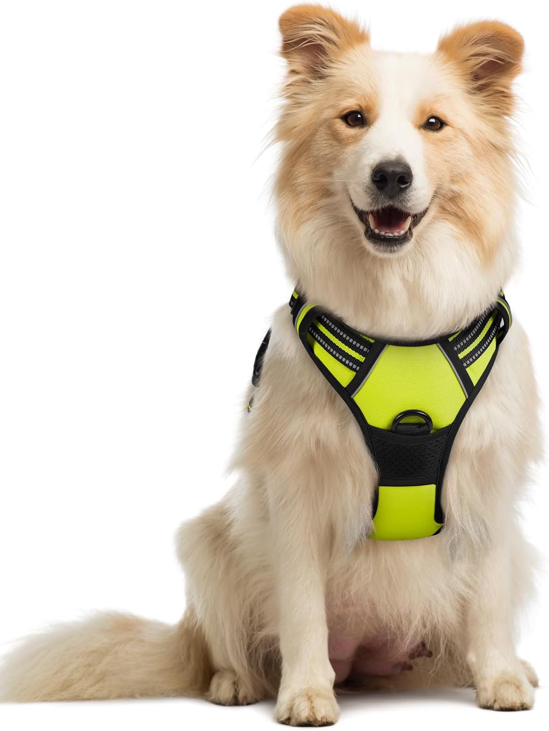 rabbitgoo Dog Harness No Pull with 2 Leash Clips, Adjustable Soft Padded, Reflective Oxford No Choke Pet Vest with Easy Control Handle for Medium Sized Dogs, Green, M