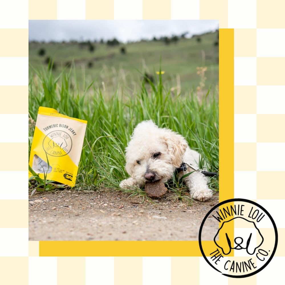 Winnie Lou Turmeric Bison Jerky Dog Treats – Limited Ingredient, Human Grade, Training Treats for Small, Medium & Large Dogs, Made in USA (1 Pack)