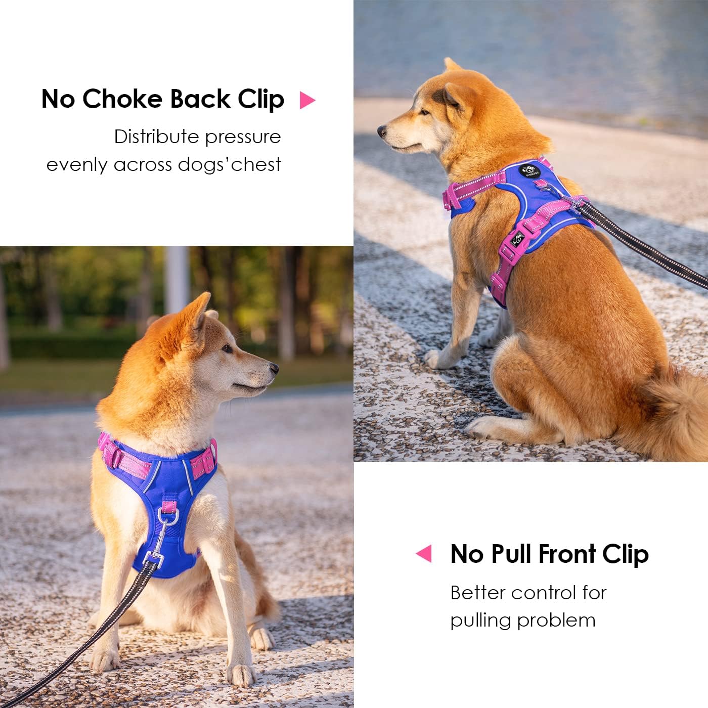 PHOEPET No Pull Dog Harness, Unique Colors Reflective Adjustable Dog Vest, with Soft Training Handle Metal Clips for Small Medium Large Dogs (Royal Blue Base & Pink Straps,XL)